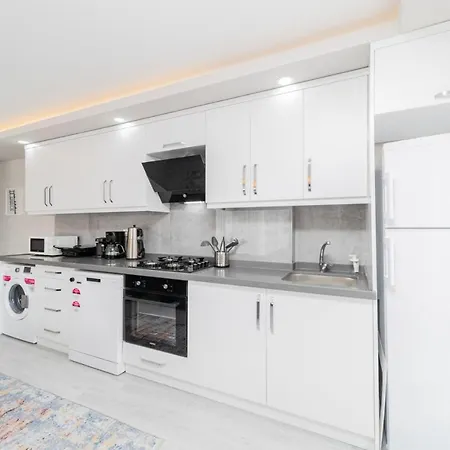 Modern And Fully Furnished Flat In Apartment