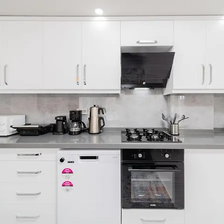 Modern And Fully Furnished Flat In Antalya