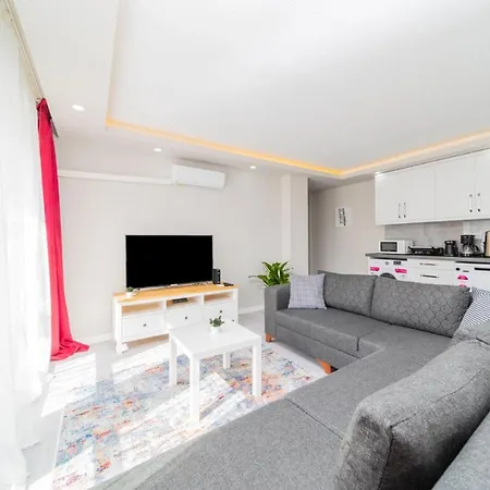 Apartment Modern And Fully Furnished Flat In Antalya