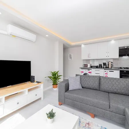 Modern And Fully Furnished Flat In Apartment