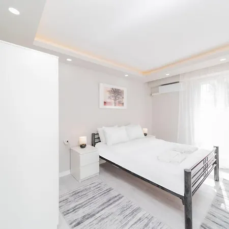 Modern And Fully Furnished Flat In Apartment